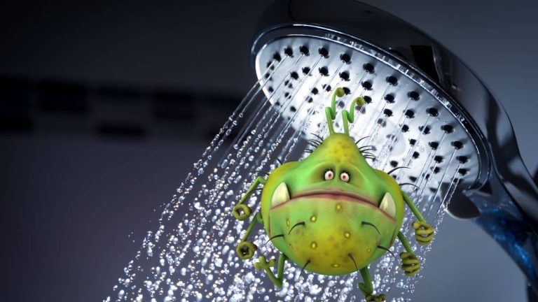 Votre pommeau de douche est un vrai nid à bactéries et voici comment bien le nettoyer