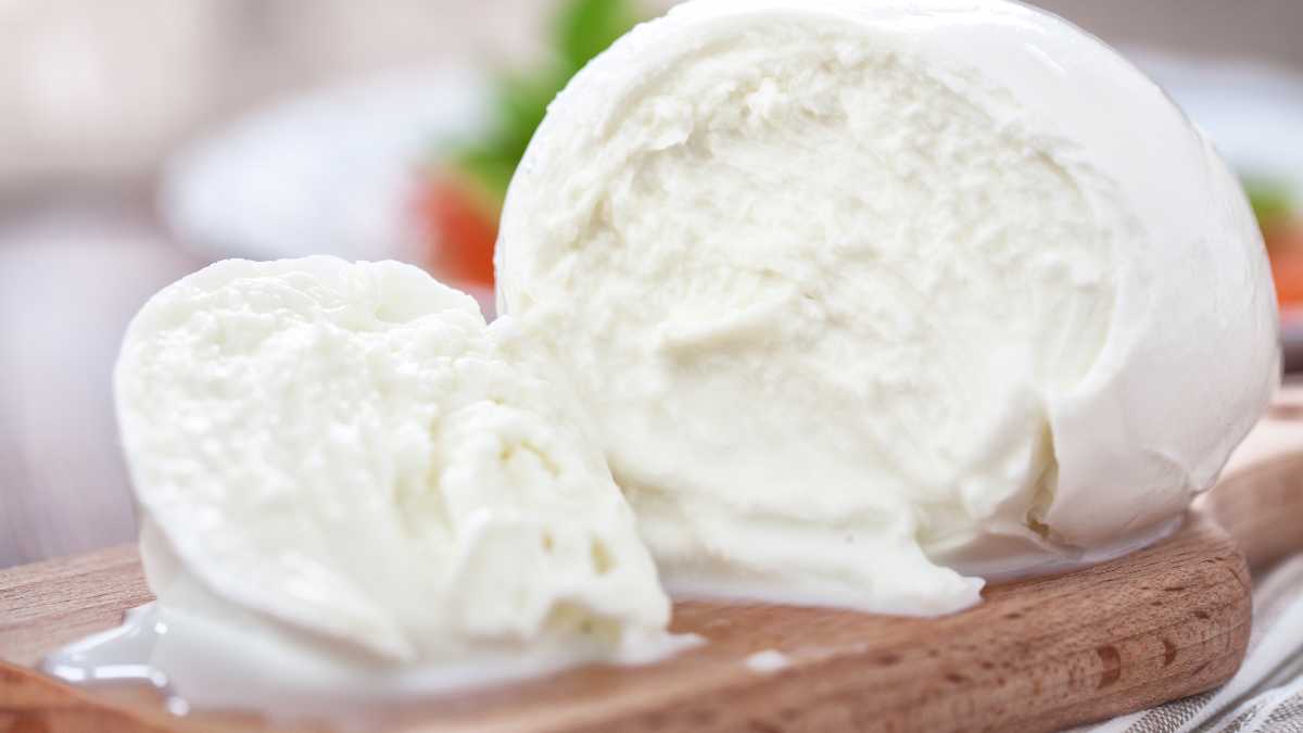 60 millions de consommateurs a trouvé la meilleure mozzarella de supermarché