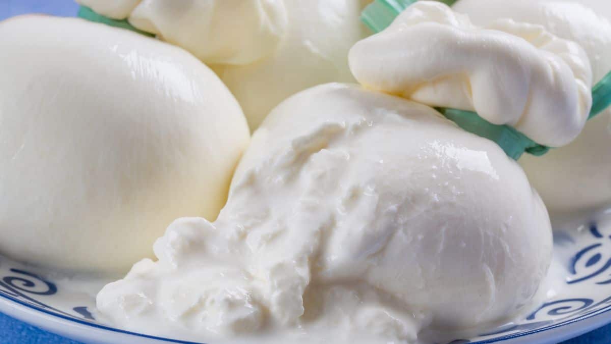 Ne mangez plus cette burrata vendue dans tous les Leclerc elle est contaminée à la Listeria