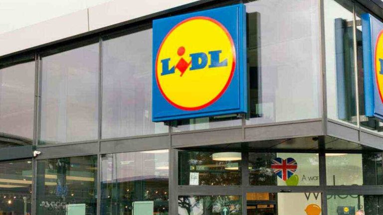 Ce nouveau concept LIDL qui va faire un énorme carton si vous aimez la nature