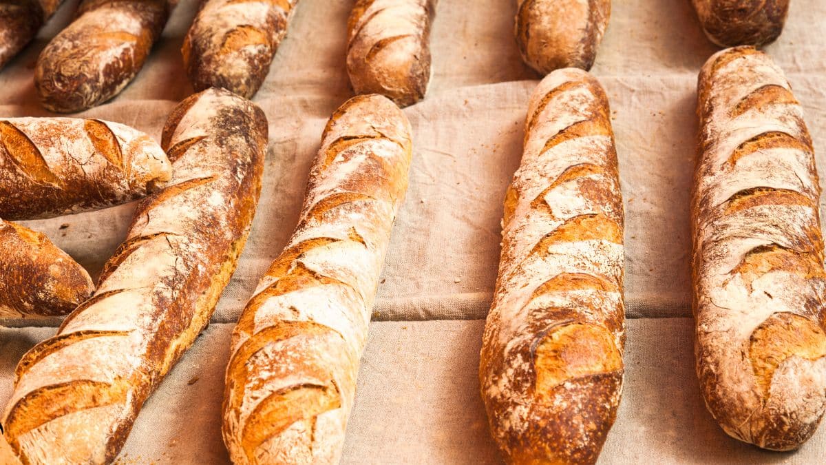 Le prix de la baguette de pain va exploser en 2024 à cause de mauvaises moissons ?