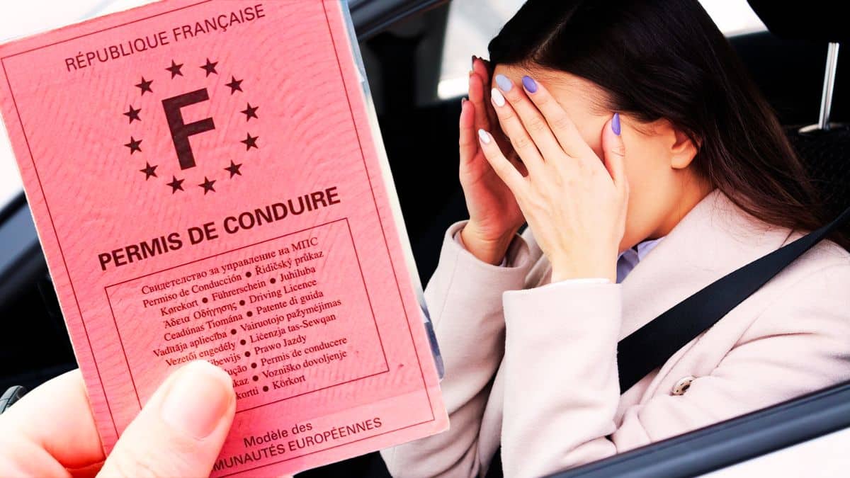 La date de validité du permis de conduire rose approche faites vite le changement avant sanction