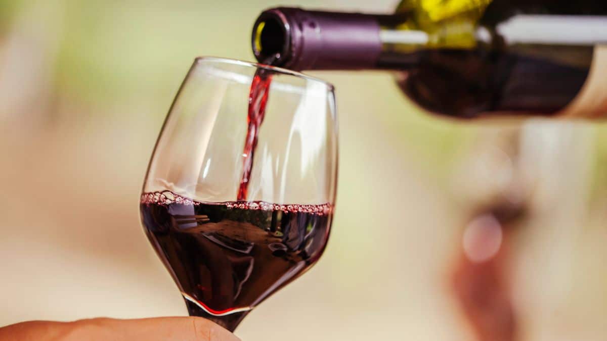 Ce vin à moins de 12 euros du supermarché est le meilleur d'après 60 Millions de consommateurs