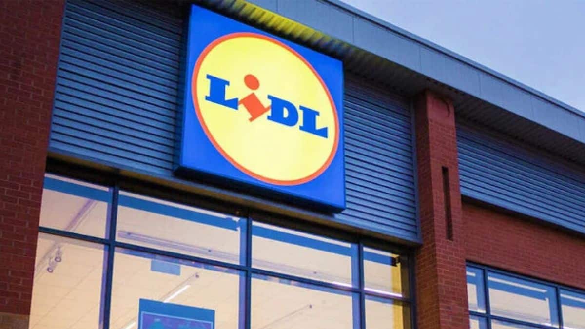 LIDL: la meilleure heure dans la journée pour faire de grosses économies sur ses courses