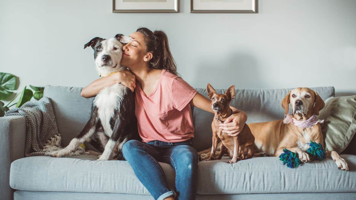 Cette pratique que tout le monde fait avec son animal de compagnie peut couter une amende de 3750 euros