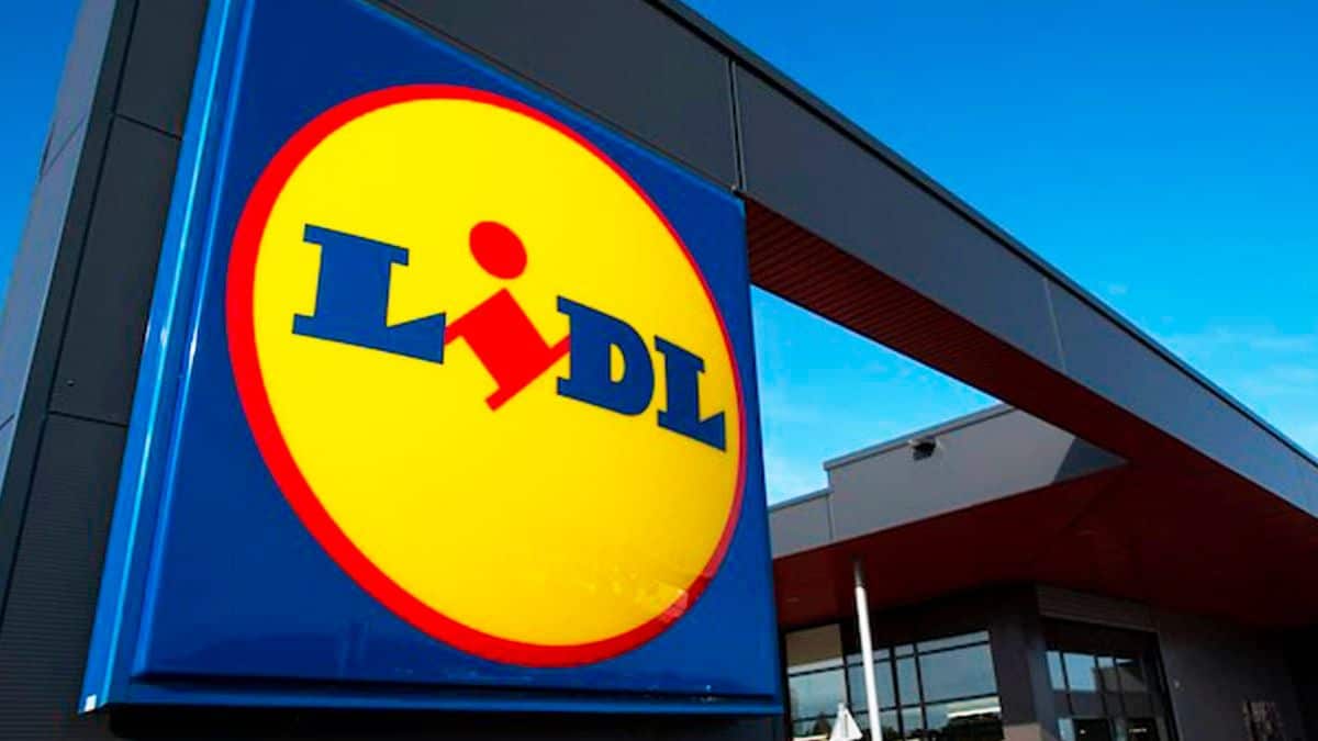 LIDL vous garde bien au chaud grâce à ce vêtement thermique parfait cet hiver