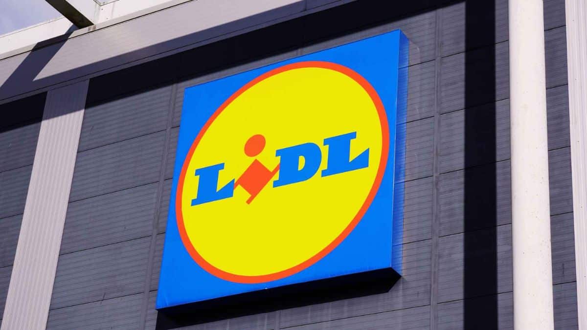 Ces 3 produits LIDL pour le jardinage sont de vraies pépites