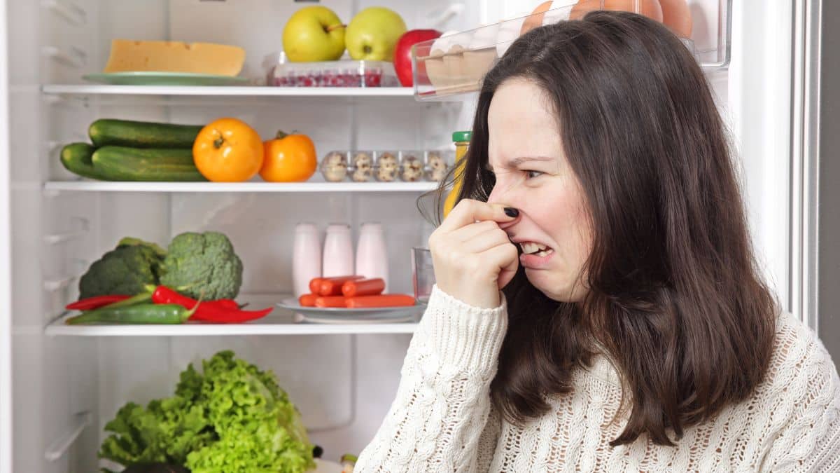 Cette astuce géniale pour supprimer toutes les mauvaises odeurs du frigo pour toujours