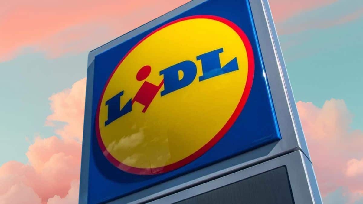 Le panier à linge LIDL le plus recherché: il est trop stylé, pratique et pas cher