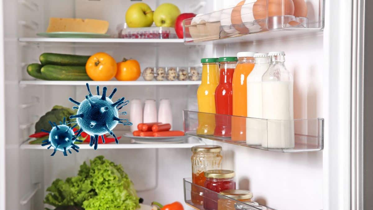 Votre frigo est un nid à microbes, la meilleure technique pour le désinfecter et éliminer toutes les bactéries